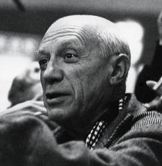 Animation  arts - Pablo Picasso