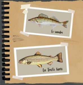 Animation  fleuves et rivieres - Les poissons de nos rivières