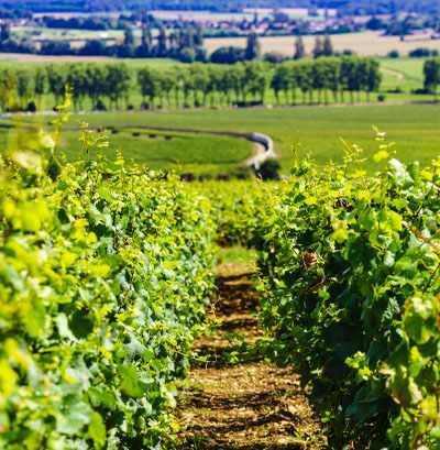 Image2025111462651312820.jpeg Quizz Bourgogne-Franche-Comté - Bourgogne - Franche-Comté