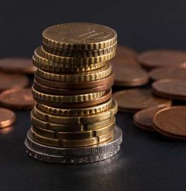 Animation  Argent - Bonne fortune