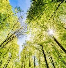 Animation  Science et nature - Le réveil de la nature